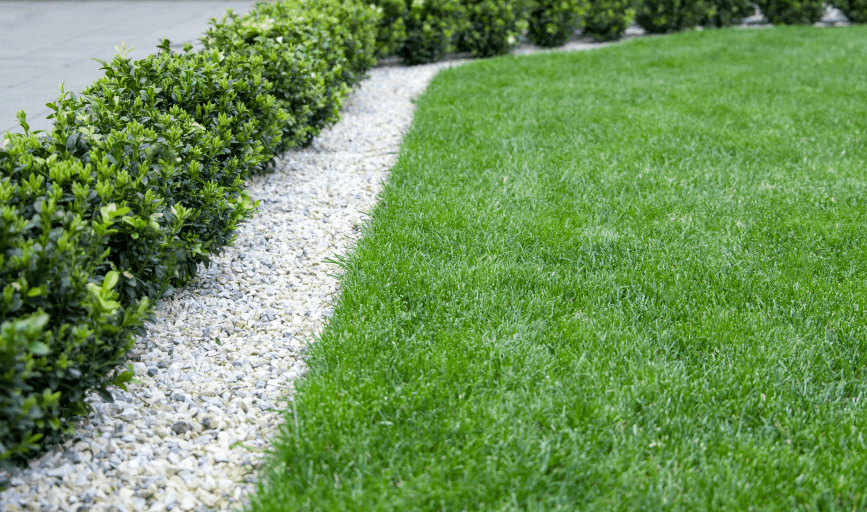 Griffin Lawn Care