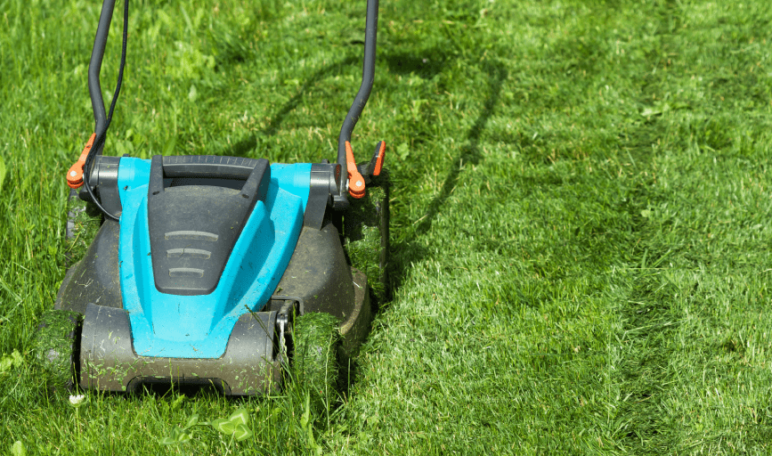 Griffin Lawn Care